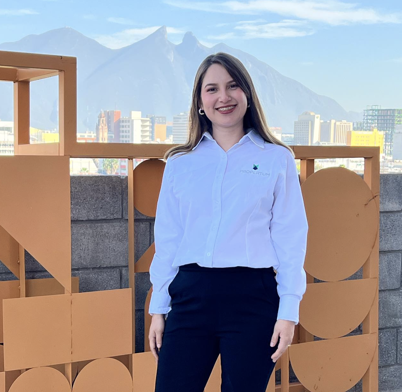 administración de proyectos inmobiliarios